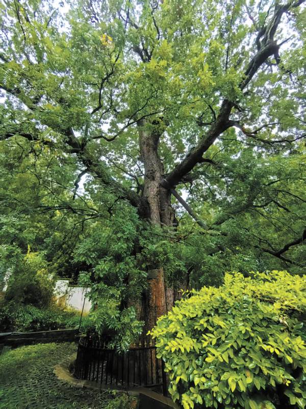 1761097940380203.jpg 3 (1).jpg