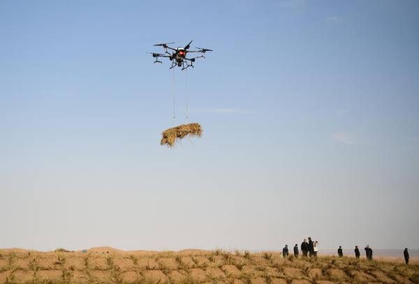 1761098739505698.jpg 4 (1).JPG