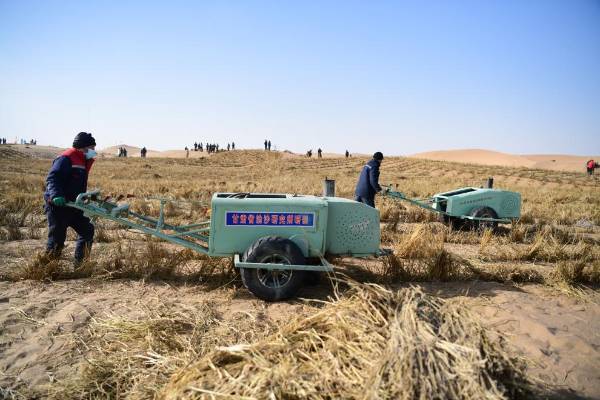 1761098751256324.jpg 5 (1).JPG