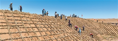 1761099577686097.jpg 5.jpg