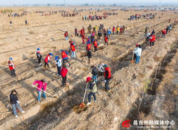 1761186036335161.jpg 5 (1).jpg