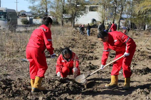 1761186596126110.jpg 7.jpg