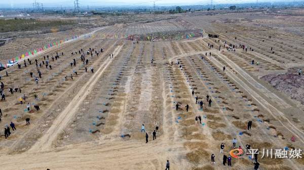 1761529601681110.jpg 1.jpg