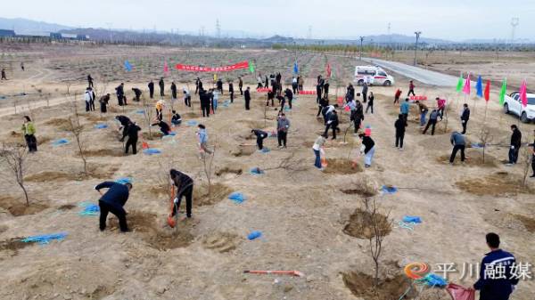 1761529631982645.jpg 6.jpg