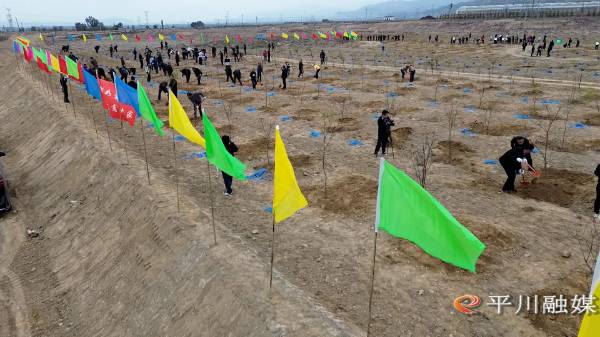 1761529645173961.jpg 7.jpg