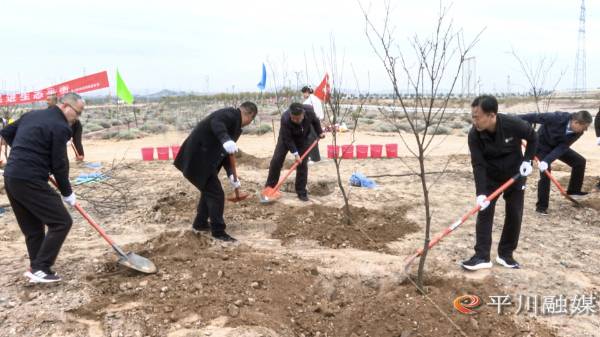 1761529687794222.jpg 2.jpg