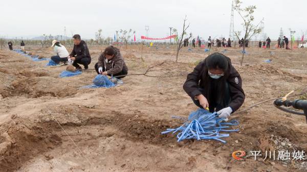 1761529691229017.jpg 3.jpg