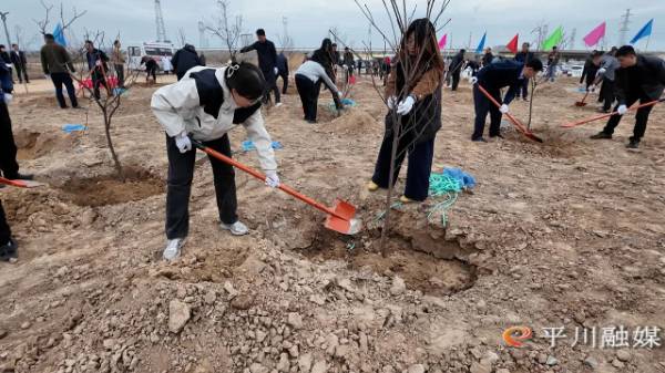 1761529695266434.jpg 4.jpg