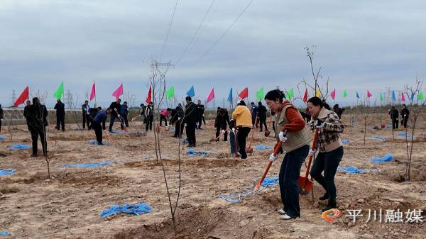 1761529705514126.jpg 5.jpg