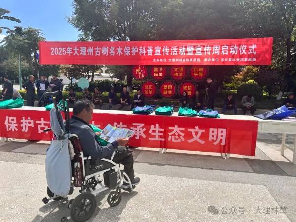 1761704493709361.jpg 15.jpg