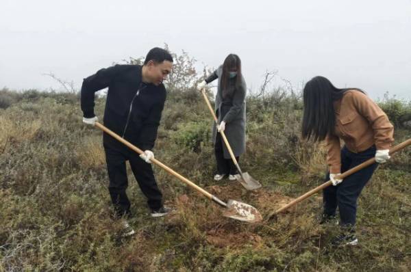 1761705566899172.jpg 1.jpg