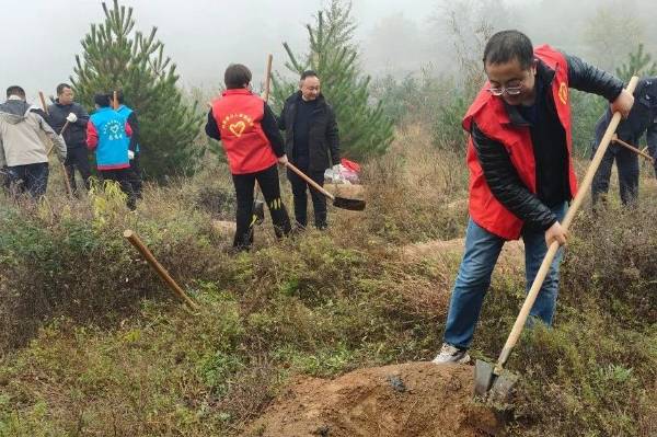 1761705573694771.jpg 3.jpg