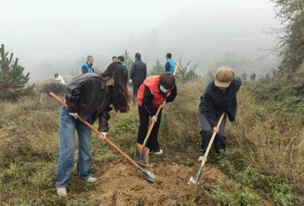 1761705576836174.jpg 4.jpg