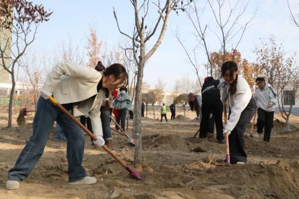 1761705845714891.jpg 3 (1).jpg