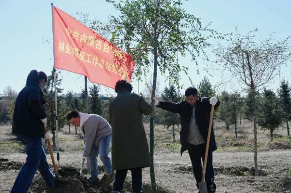 1761788060205704.jpg 1 (1).jpg