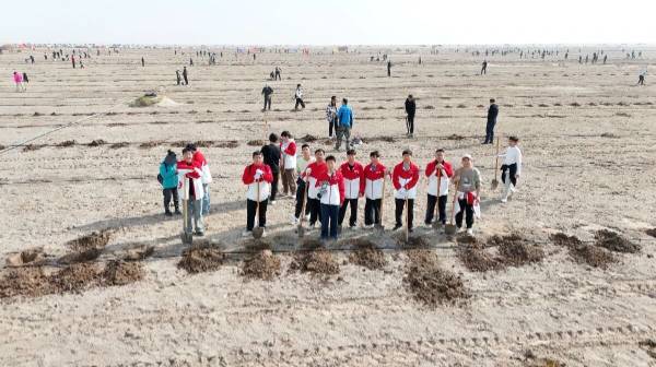 1761793320382255.jpg 1.jpg