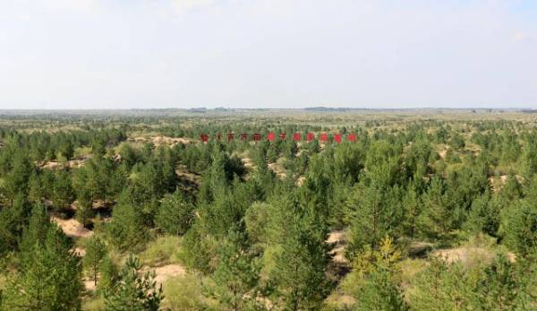 1761795367218515.jpg 1 (1).jpg