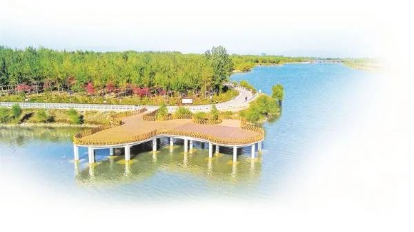 1761795878361585.jpg 8.jpg