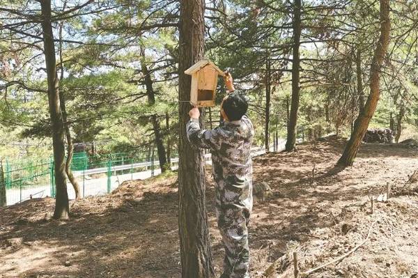 1761795884733240.jpg 9.jpg