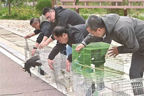 1761795892848499.jpg 10.jpg