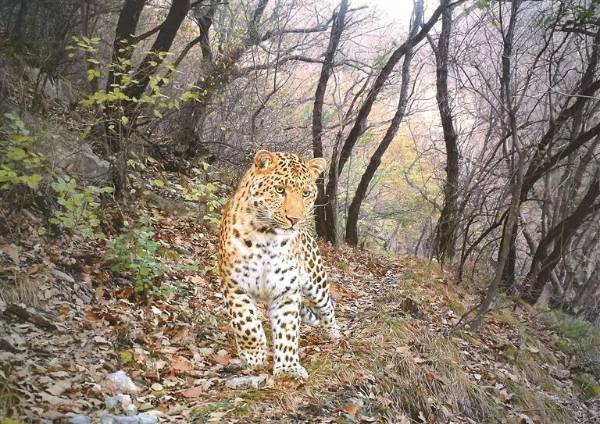 1761795904584881.jpg 12.jpg