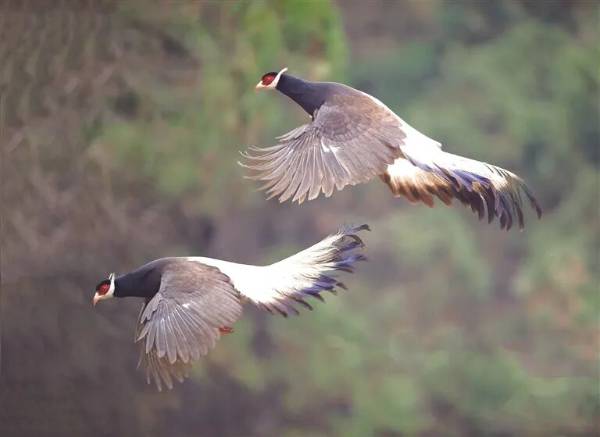 1761795911626834.jpg 13.jpg