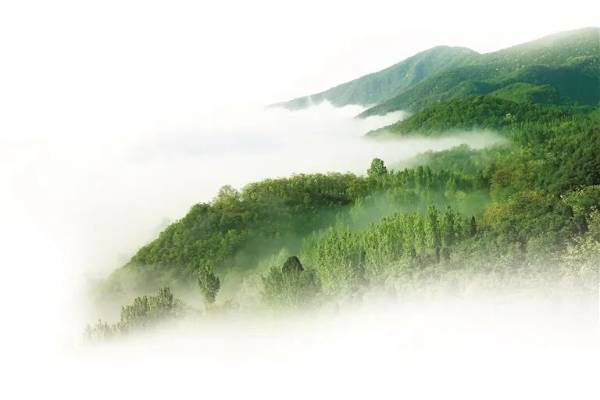 1761795918336288.jpg 14.jpg