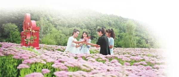 1761795925785328.jpg 15.jpg