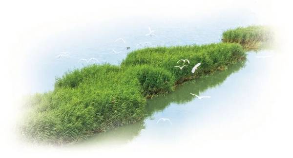 1761795931424758.jpg 16.jpg