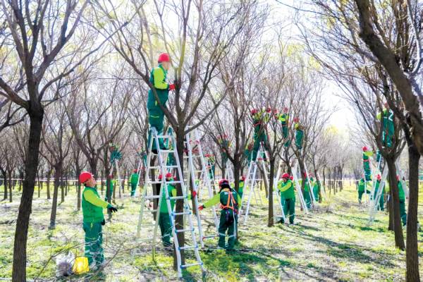 1762136973233675.jpg 2 (1).jpg