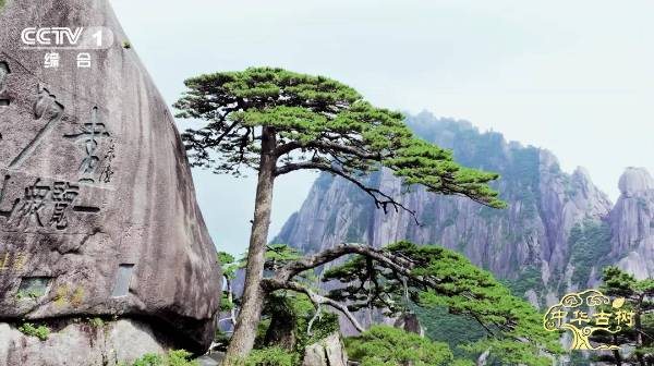 1762137231406750.jpg 3 (1).jpg