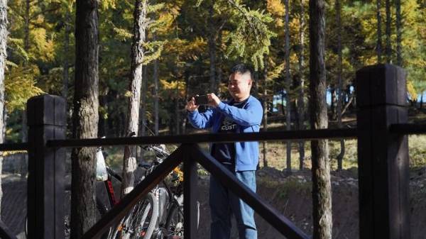 1762137628611120.jpg 1.jpg