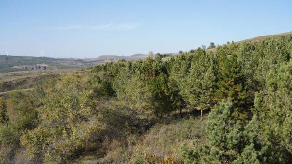 1762137697287432.jpg 3.jpg