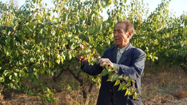 1762137733413832.jpg 4.jpg