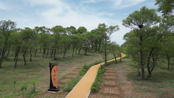 1762137770635991.jpg 5.jpg