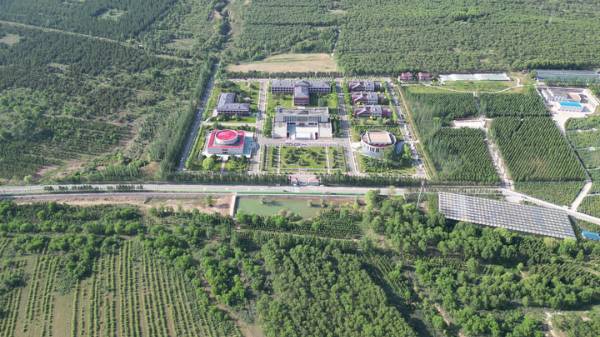 1762137798623397.jpg 6.jpg