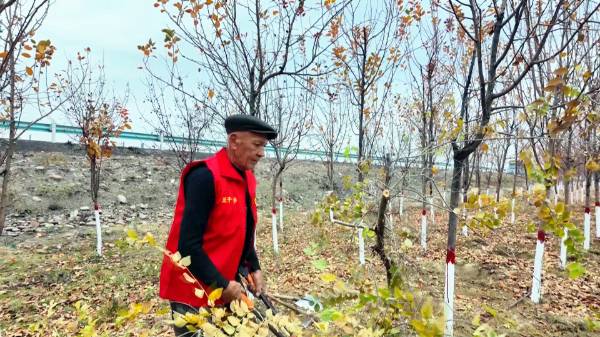 1762138957648262.png 3.png