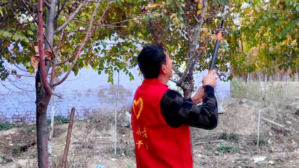 1762138961190194.png 4.png