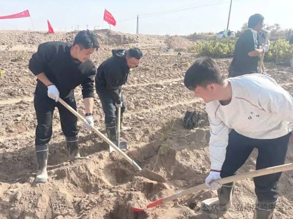 1762139882577617.jpg 8.jpg