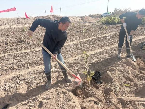 1762139892958295.jpg 10.jpg