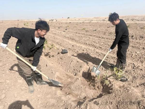 1762139895282919.jpg 11.jpg