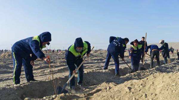 1762226177325989.jpg 3 (1).jpg