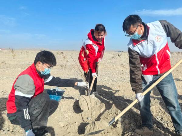 1762226196898891.jpg 4 (1).jpg