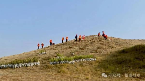 1762226416396665.jpg 5 (1).jpg