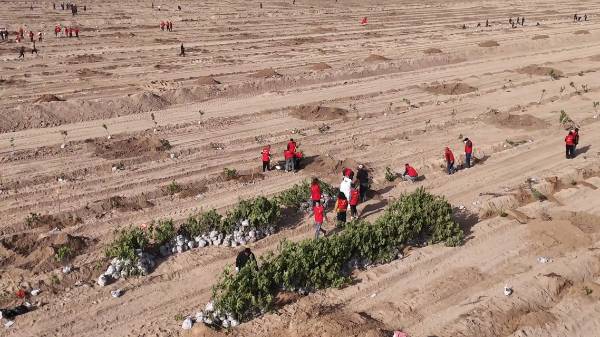 1762226734622415.jpg 2 (1).jpg