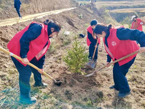 1762326032410593.jpg 2 (1).jpg