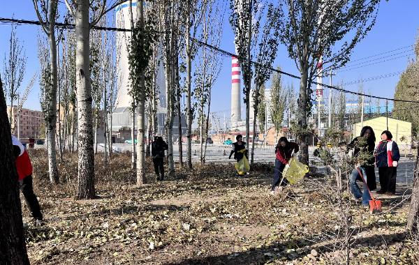 1762398454527356.png 2.png