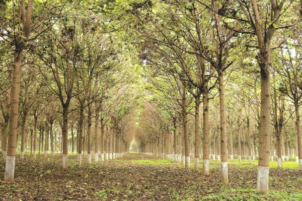 1762410399156316.jpg 1 (1).jpg