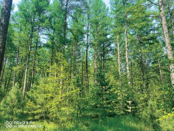 1762410409281853.jpg 2 (1).jpg