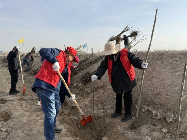 1762413365572778.jpg 5 (1).jpg